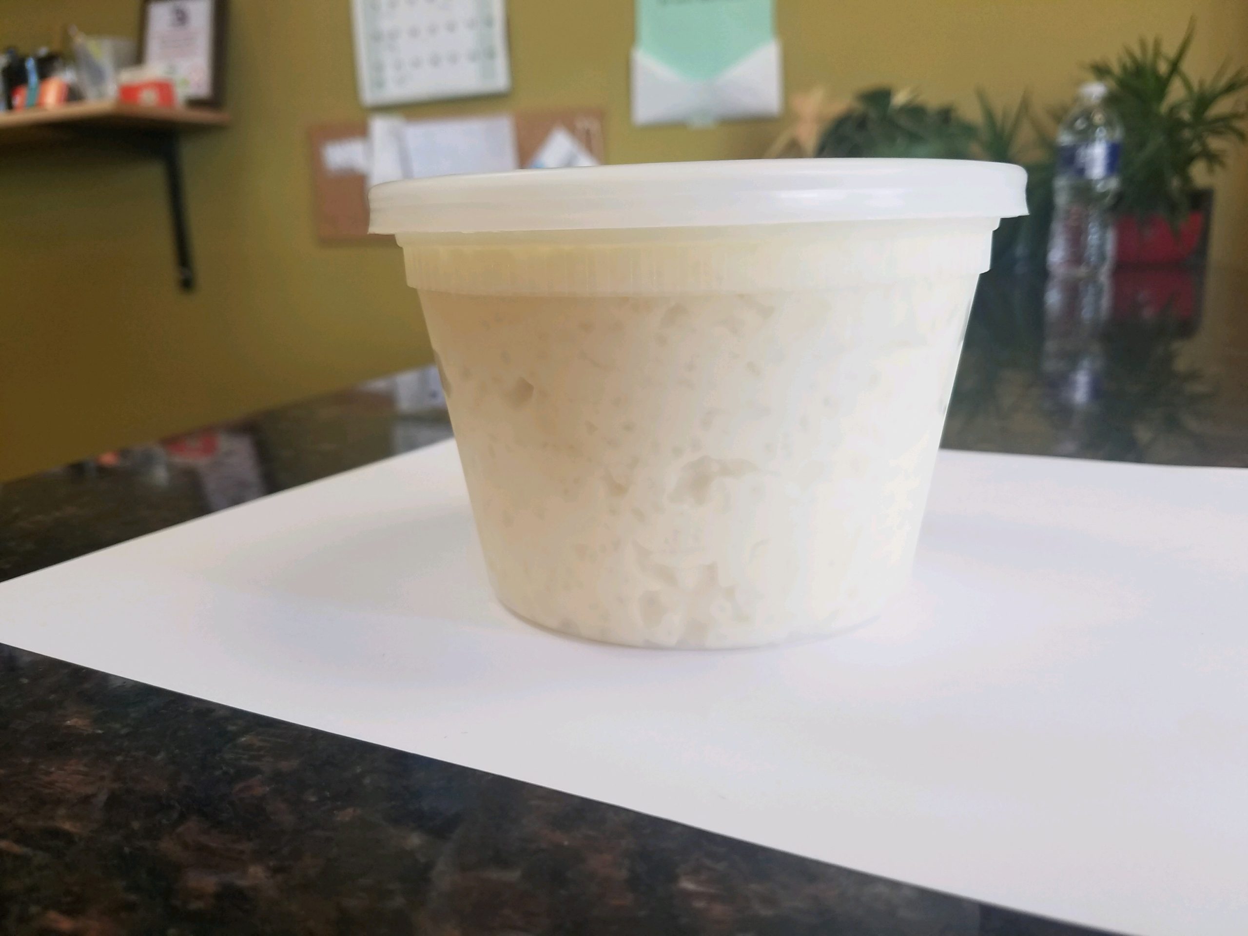 16oz Pudding container